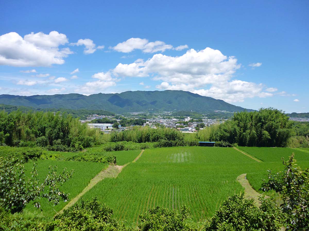 金剛・葛城の山々